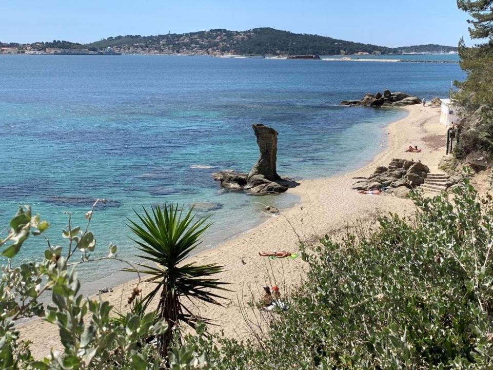 Superbe Appartement Proche Gare Toulon Exteriér fotografie